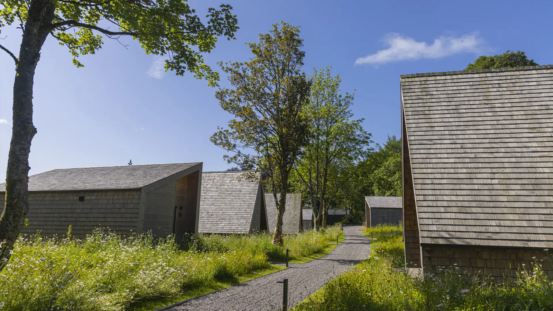 The Halcyon Club - daytime picture of a cabin exterior